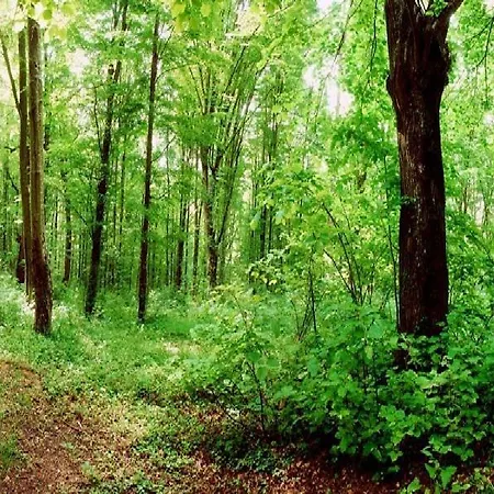 Hotel Eco Complex Sherba Debelets (Varna)